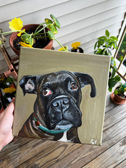 10x10 Pet Portrait